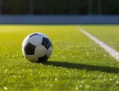 山东赛事经,济发展迅猛,展现强劲势,亿万28(中国)官方网站,亿万28官网入口,亿万28官网下载,亿万28官网登录