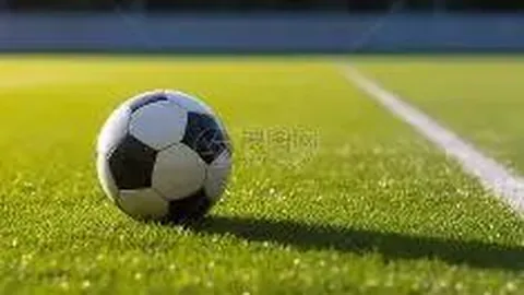 阿乙2025赛季主场积分榜新动态：里奥夸尔托24分位列第8，名次下滑一位！