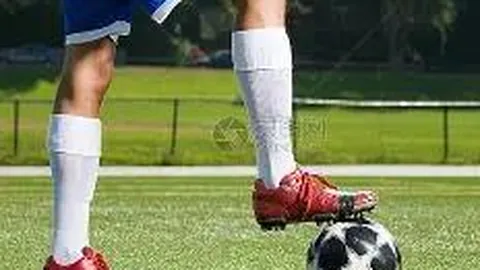 《动洞墙》明星集结观众同乐，共享娱乐盛宴